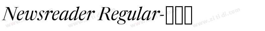 Newsreader Regular字体转换